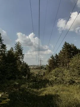 Power line in the forest Stock Photos