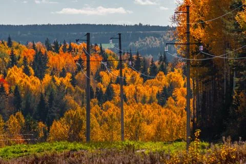 The power line going through the autumn wood, Mari El, Russia Stock Photos