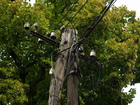 Power line going through rural field with green trees in background Stock-Fotos