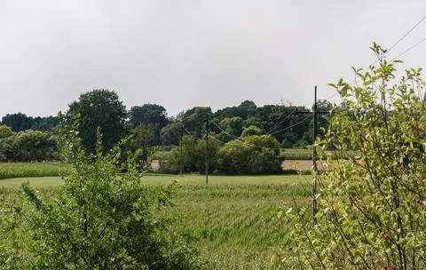 Power line going through rural field under cloudy sky Foto stock