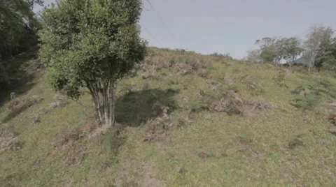 Power line on the mountain Stock Footage 32928696