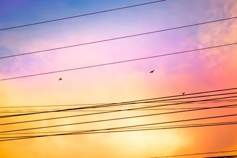 Power line Stock Photos