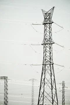 Power line Фото