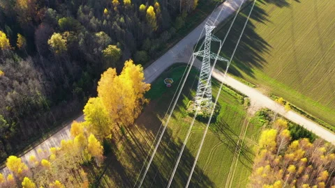 Power line Pylon Over Fields and Forests in a Serene Autumn Landscape Vídeo Stock 294318399