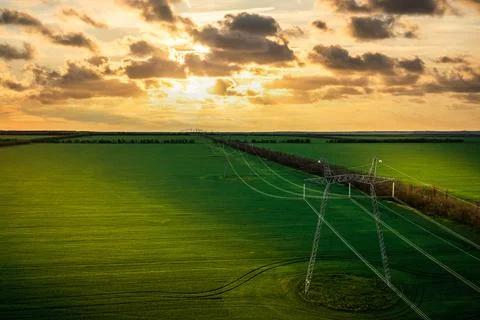 Power line in the rays of the setting sun through the green fields Foto stock