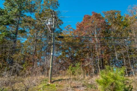 Power line with several cables Stock Photos