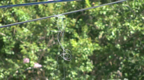 Power Line &amp; String Stock Footage 134311