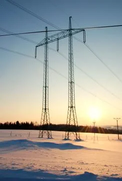 Power line at sunset 库存照片
