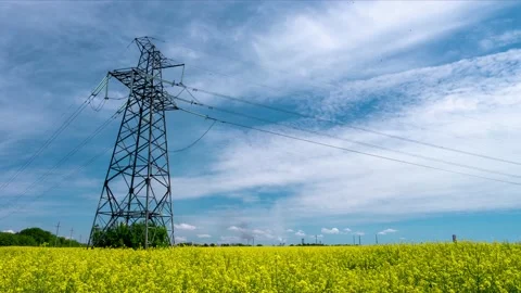 Power line support and high voltage electric line over blooming canola field Stock Footage 234176522