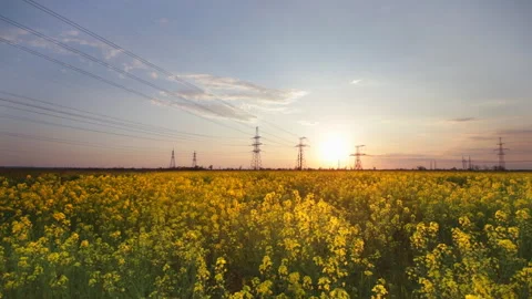 Power line time lapse Stock Footage 129804012