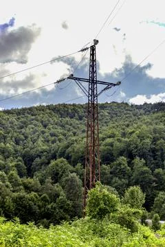 Power line tower between forrest with sky. Stock Photos