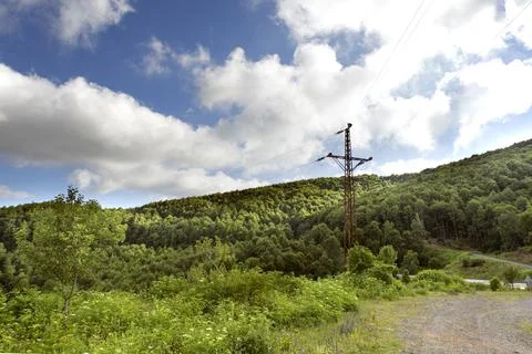 Power line tower between forrest with sky. Foto stock