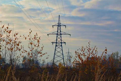Power lines among spikelets Stock Photos