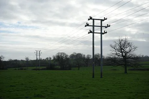 Power Lines And Green Fields With Bare Trees Under A Cloudy Sky In Wessington, Foto stock