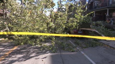 Power lines and trees down and car crushed after wind storm in Toronto Stock Footage 68806015