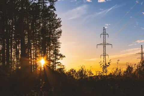 Power lines on the background of forest and sky at sunset Stock Photos