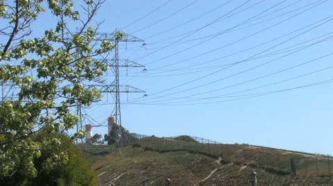Power Lines in Background, Tress in Foreground on Clear Sunny Day Stock Footage 4279742