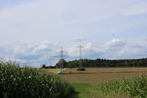 Power lines between cornfields Stock Photos