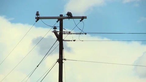 Power Lines blue sky with clouds Stock Footage 77961127
