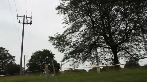 Power lines cables trees field grass sky off road shot from moving vehicle Stock Footage 246611381