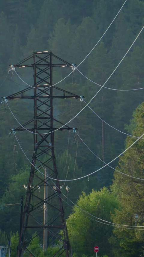 Power lines cross forest view, showcasing human technology amid nature Stock Footage 346340649