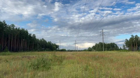 Power lines crossing grassy field, forest, cloudy sky. Rural landscape Stock-Footage 340998018
