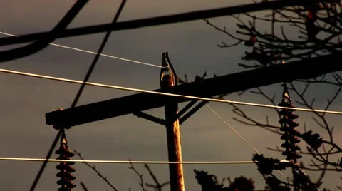 Power lines early AM in fall Video stock 12446914