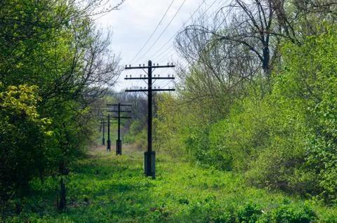 Power lines. Electrification. Electricity. Old electric poles in the forest. Stock Photos