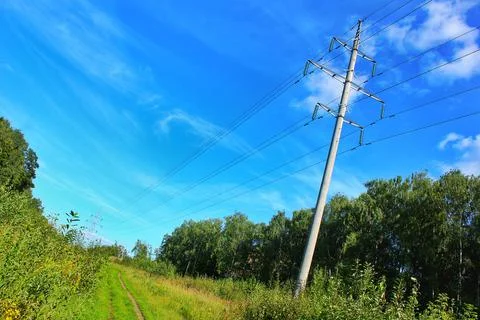Power lines on the field in the forest Stock Photos