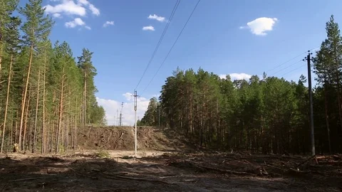 Power lines in the forest Stock Footage 75407237