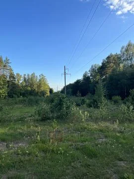 Power lines in the forest Stock Photos