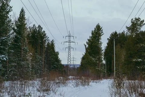 Power lines in the middle of winter forest Stock Photos