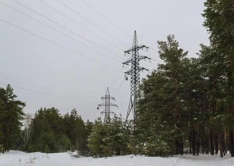 Power lines in the middle of winter forest Stock Photos