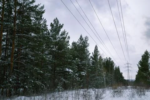 Power lines in the middle of winter forest Stock Photos