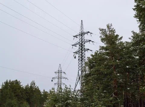 Power lines in the middle of winter forest Stock-Fotos