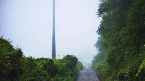 Power lines on a mountain road in dense fog Stock Footage 101624445