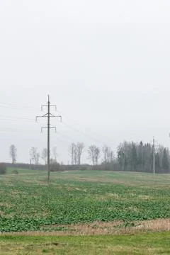 Power lines with multiple wires during a cloudy day. Do electricity lines aff Stock Photos