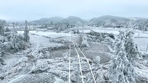 Power Lines Operating During Heavy Snowfall 4k Aerial Video stock 321046339