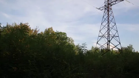 Power lines over a green forest Stock Footage 316599029