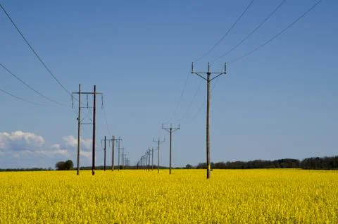 Power lines Stock Photos