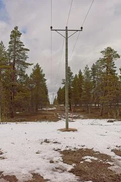 Power lines. Stock Photos