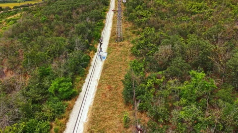 Power lines run along a long path with trees and bushes on either side near a Stock Footage 341398001