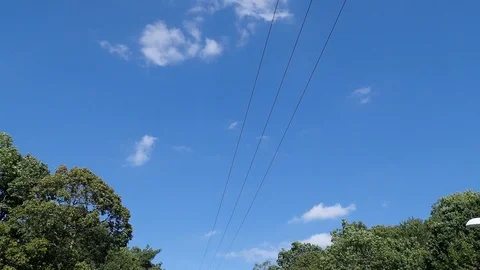 Power lines running through forest landscape Stock Footage 115448946