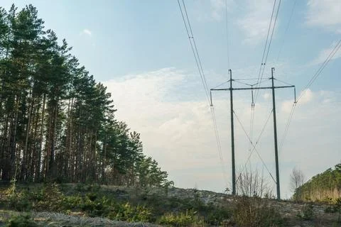 Power lines running through the forest. The support of an overhead power line Stock Photos