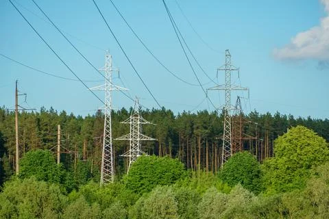 Power lines running through the forest. The support of an overhead power line Stock Photos