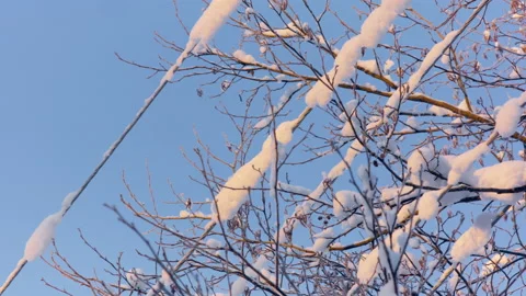Power lines in the snow with sun rays on blue sky. Energy prices rising concept. Stock Footage 232234540