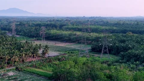 Power lines stretch across lush green fields 库存影片 337731312