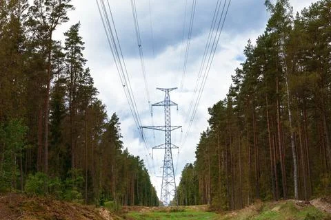 Power lines stretch through a dense forest. Tall trees line both sides of t.. Stock Photos