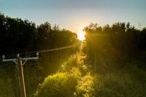 Power lines into the sun 写真素材