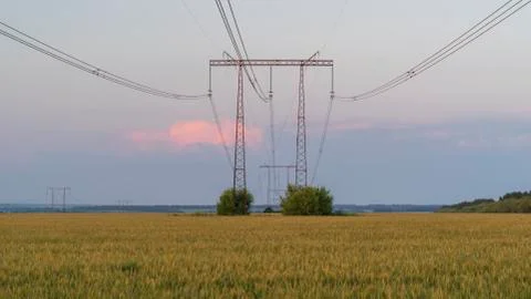 Power lines at sunset in the field Stock Photos